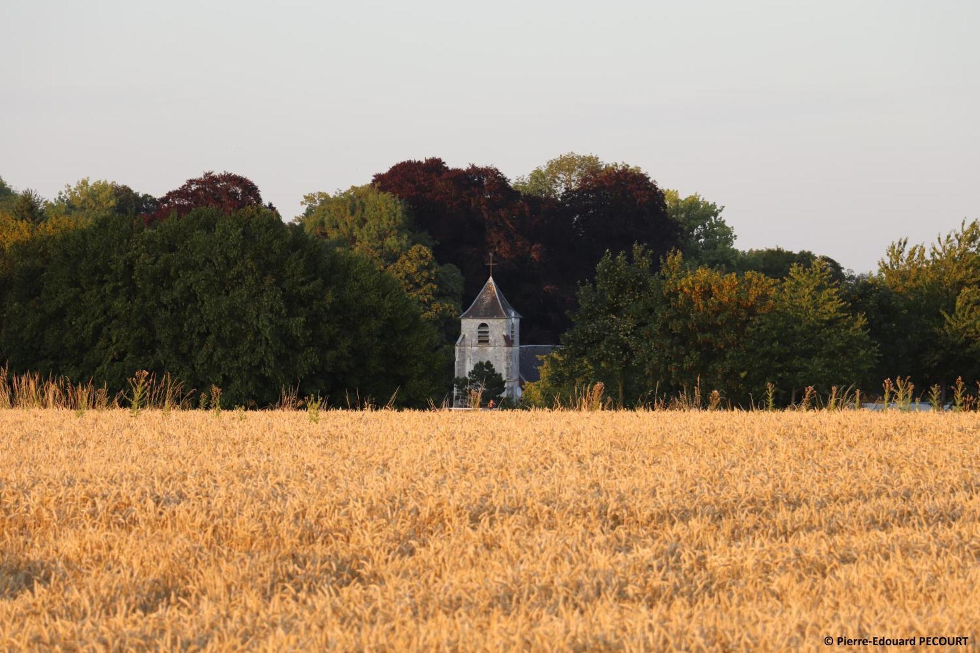 Bus-les-Artois La Grange Aux Tommies - Pays Du Coquelicotヴィラ エクステリア 写真